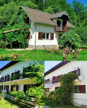 Complex Adela Transfăgărășan